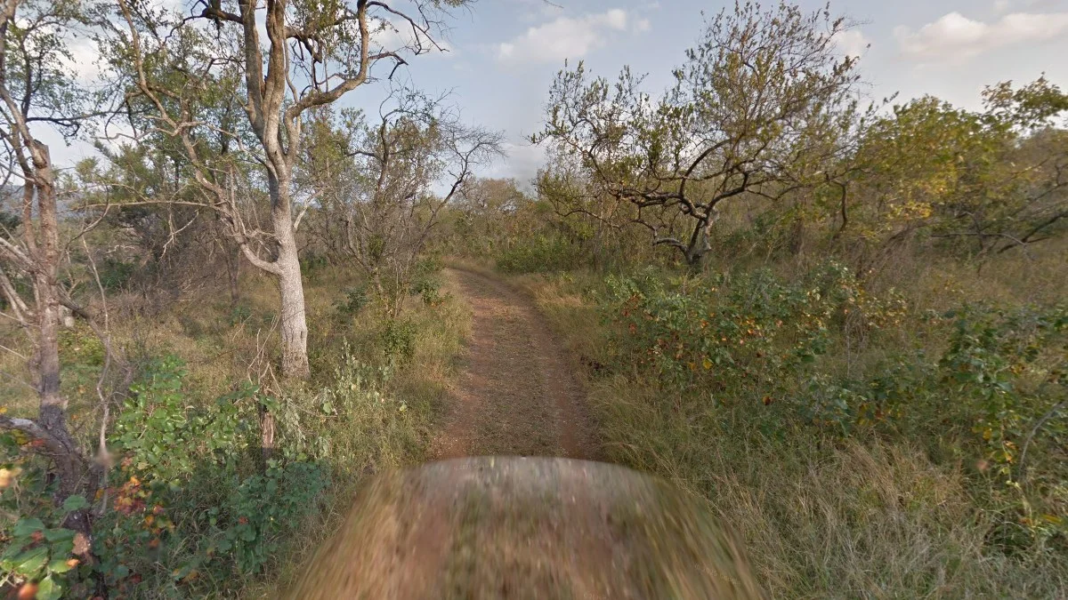 馬拉烏拉自然保護區景觀