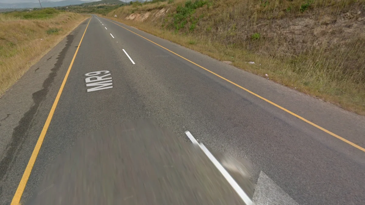 黃色外側線與三白中線