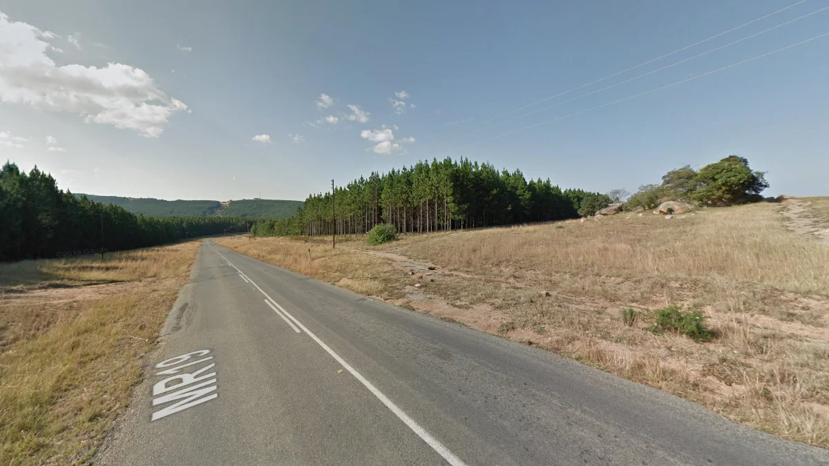 西部松樹種植園