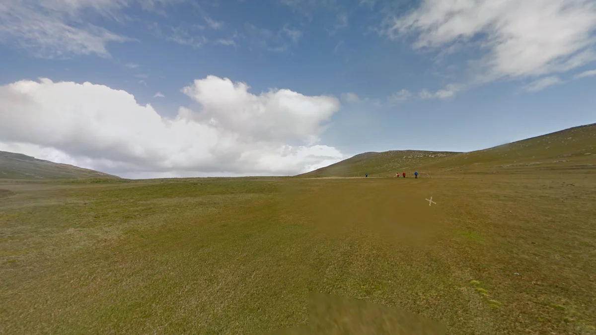 西點島微黃草地