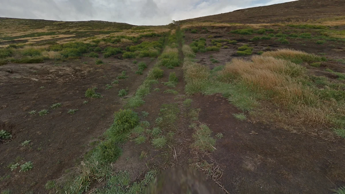 新島內陸深棕土壤