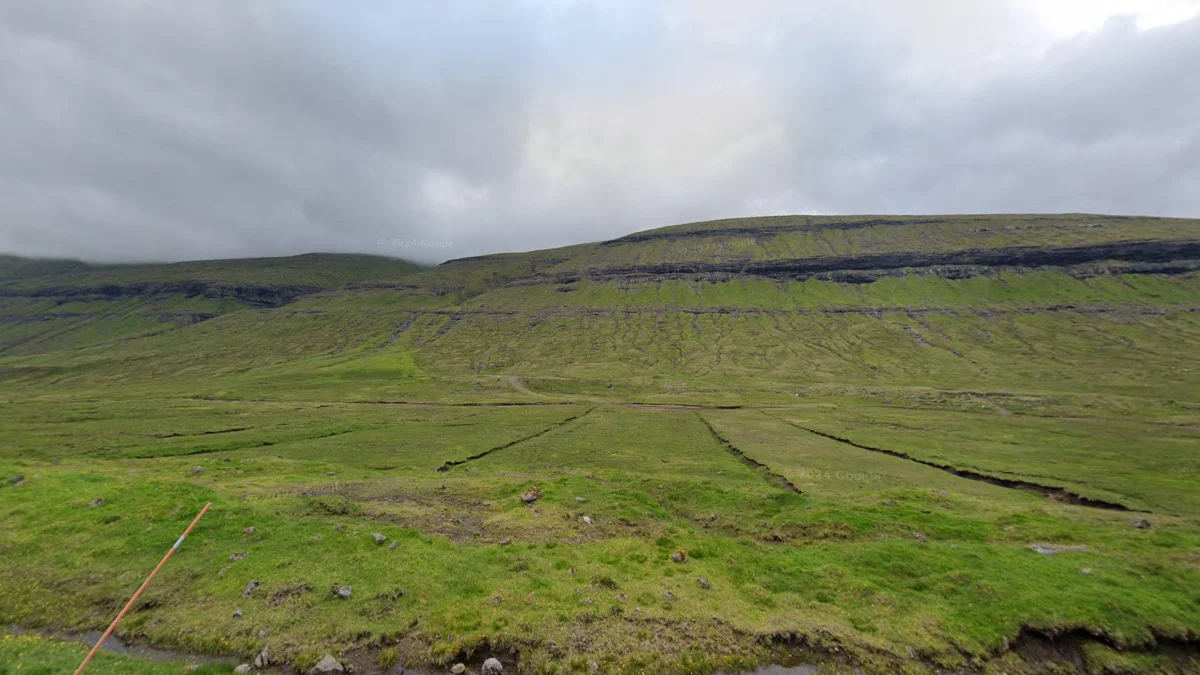 幾乎無自然樹木