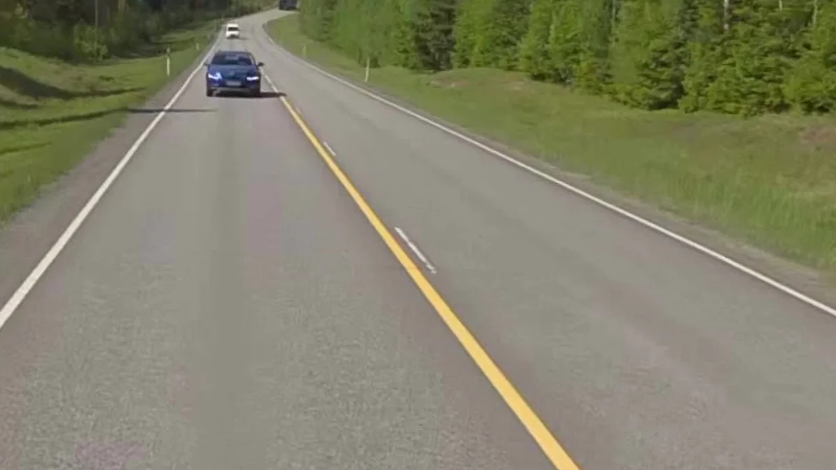 多樣化的中間道路標線