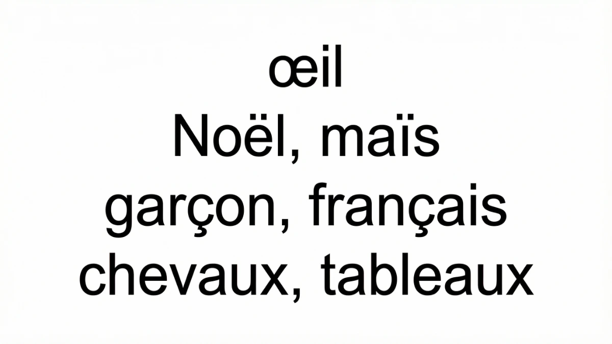 法語特殊字母與後綴