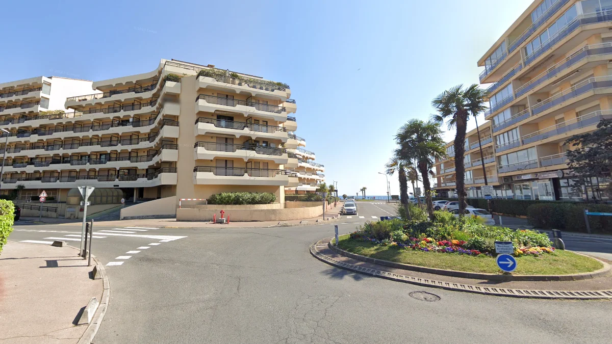 蔚藍海岸棕櫚樹與豪宅