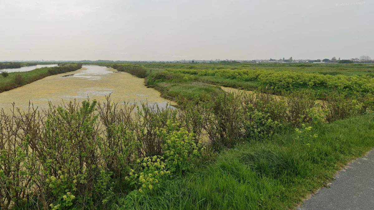 大西洋沿岸鹽田