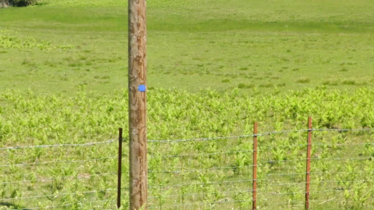 電線桿藍色矩形標記