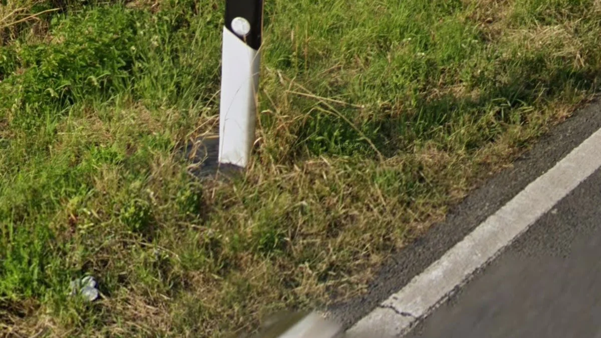 東德常見黑色圓盤底座反光柱