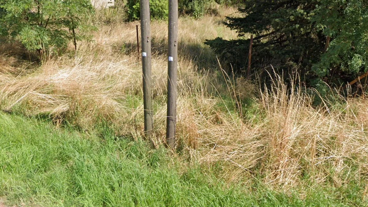 電線桿上的白色貼紙