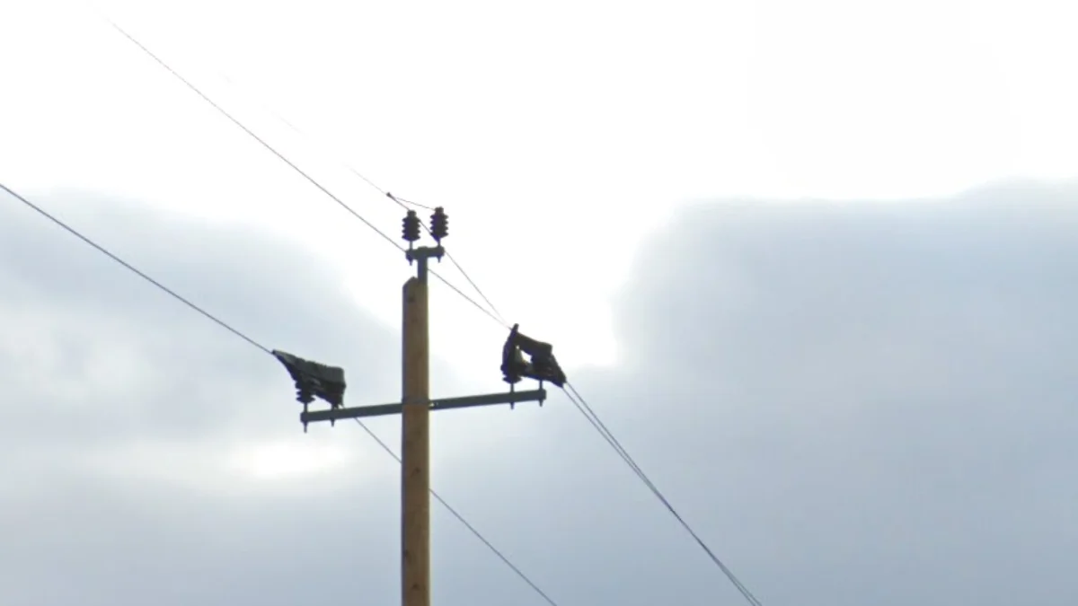 三叉戟狀電線桿頂部