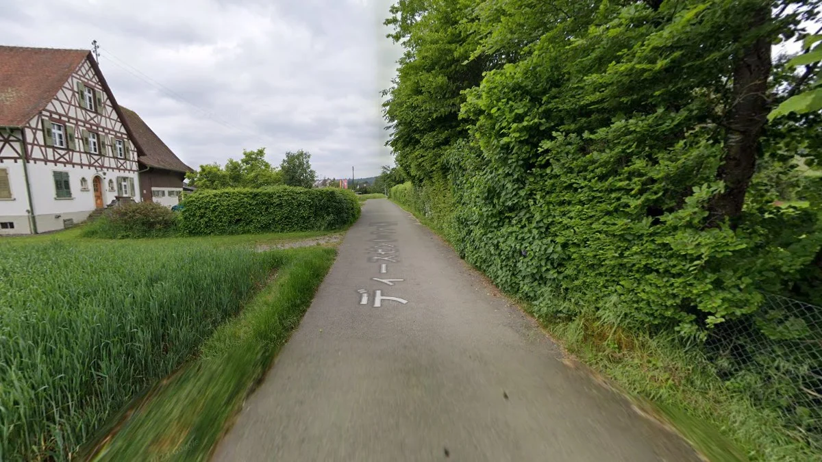 辛根與瑞士邊境低視角街景