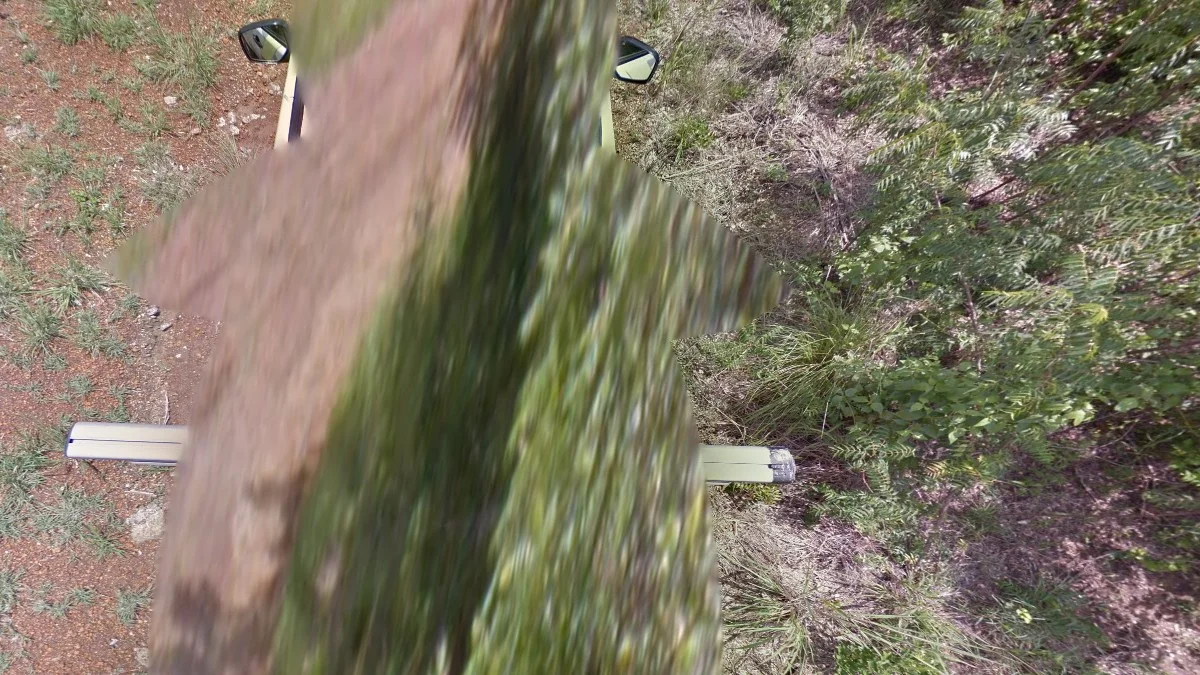 自然保護區白色街景車