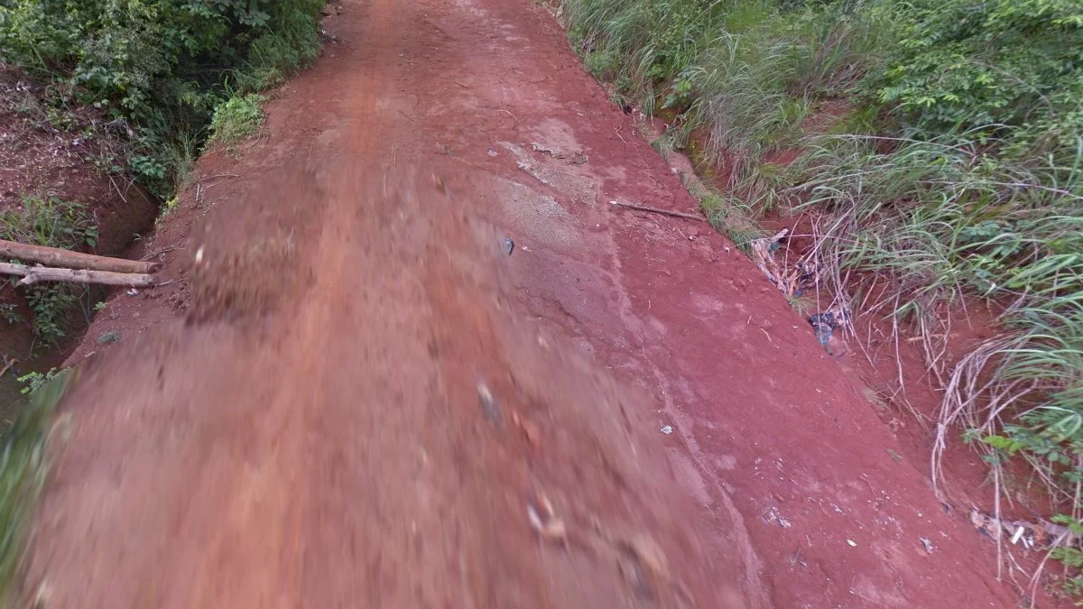 Boabeng猴子保護區街景車