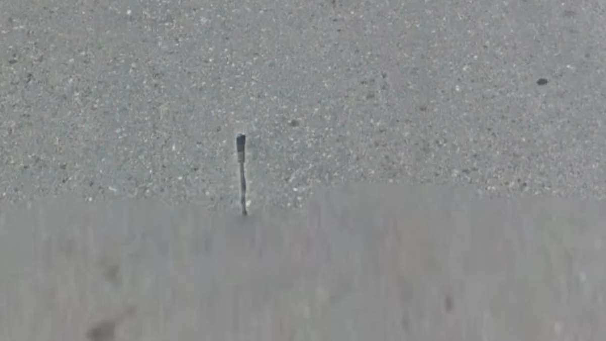 克里特島獨特凸起車載天線