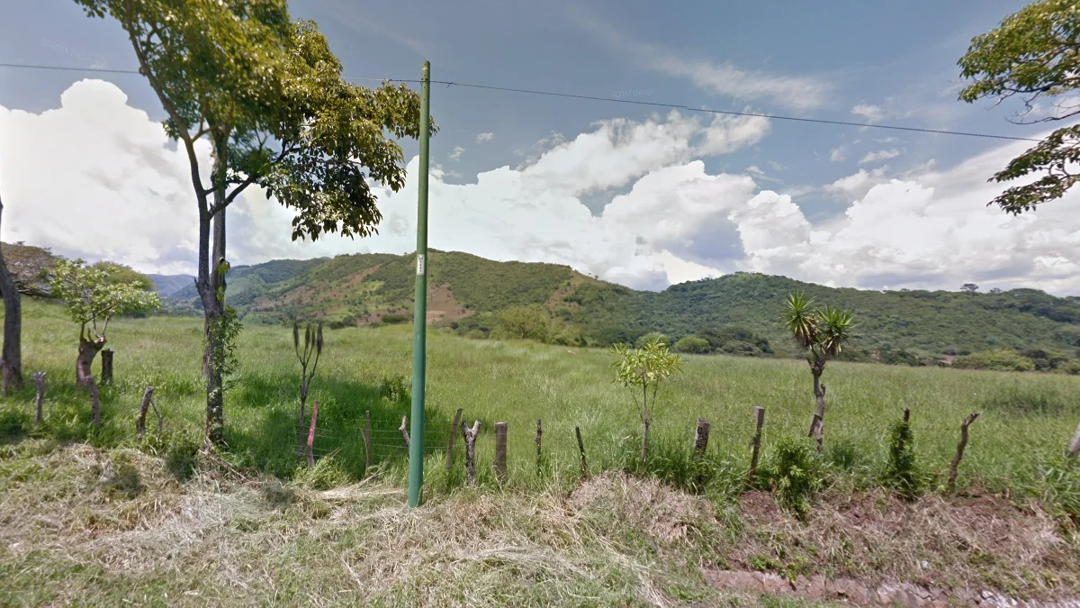 完全綠色電線桿