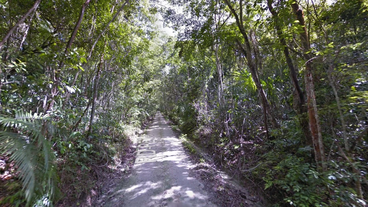 蒂卡爾北部叢林小土路