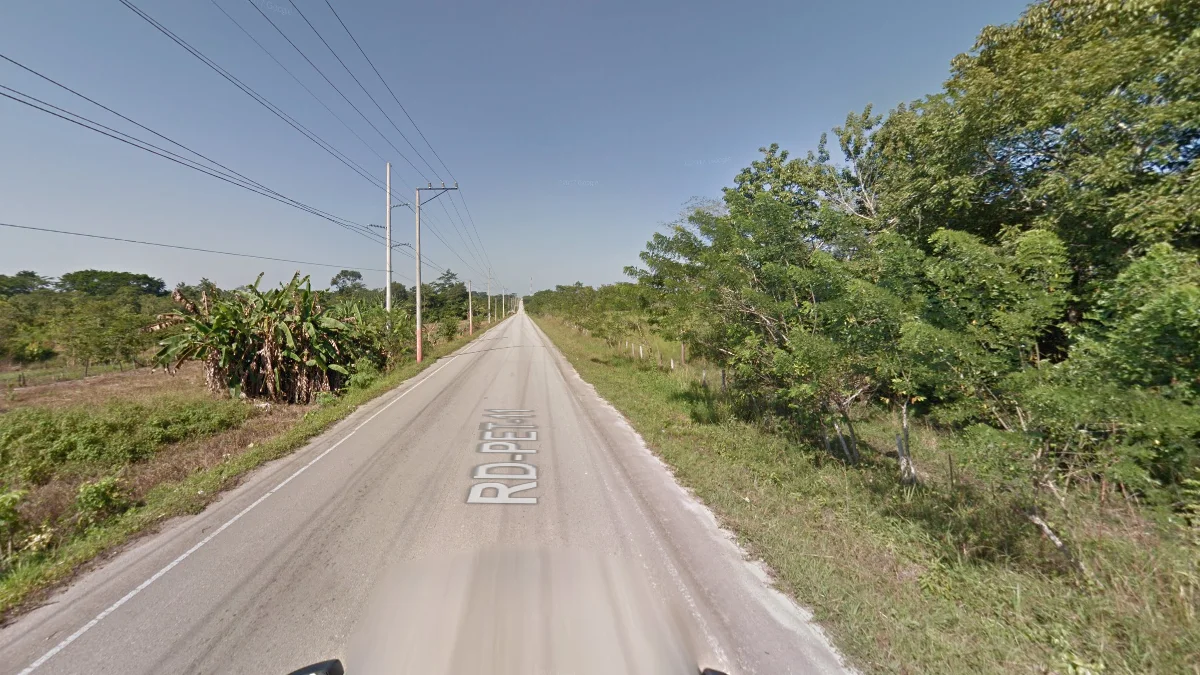 PET-11公路南北走向