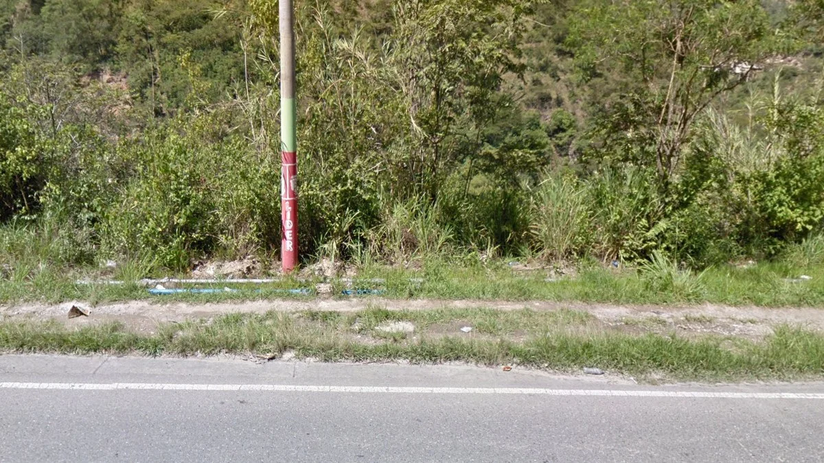 粉綠相間電線桿