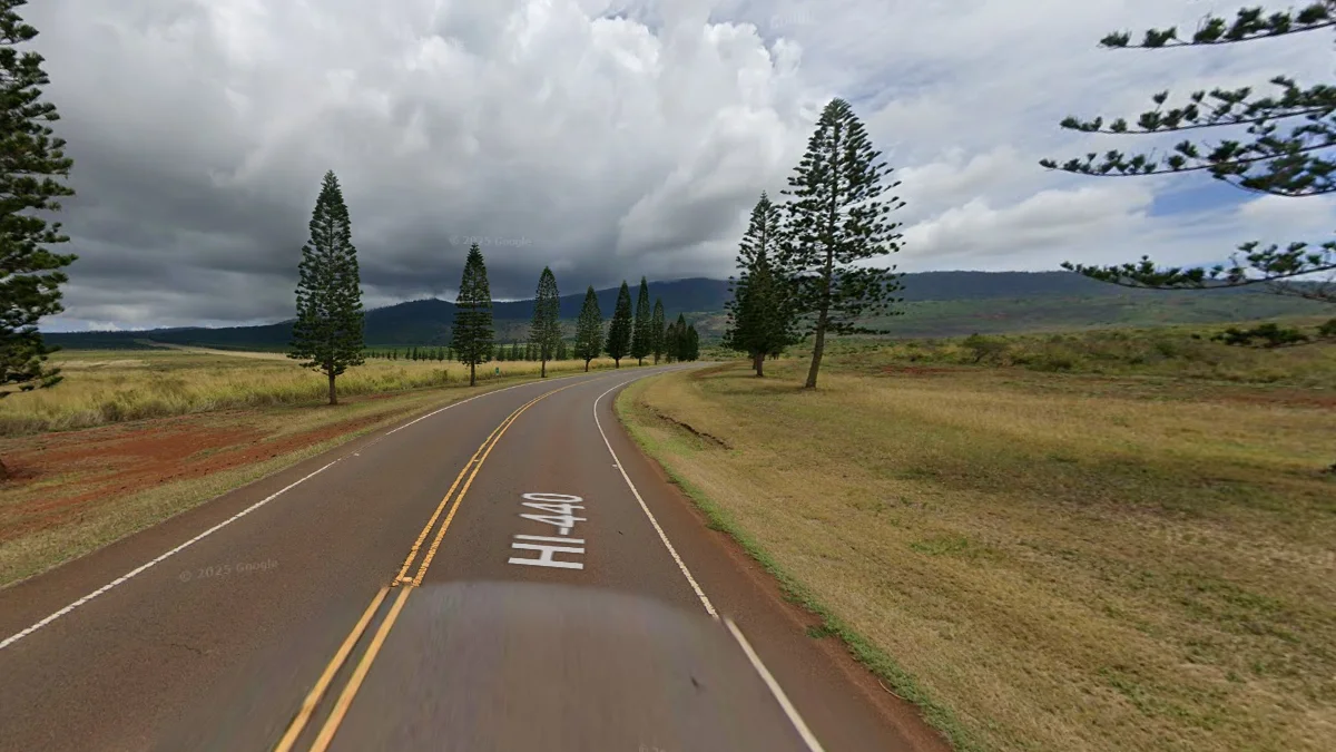 拉奈島庫克松樹與火山