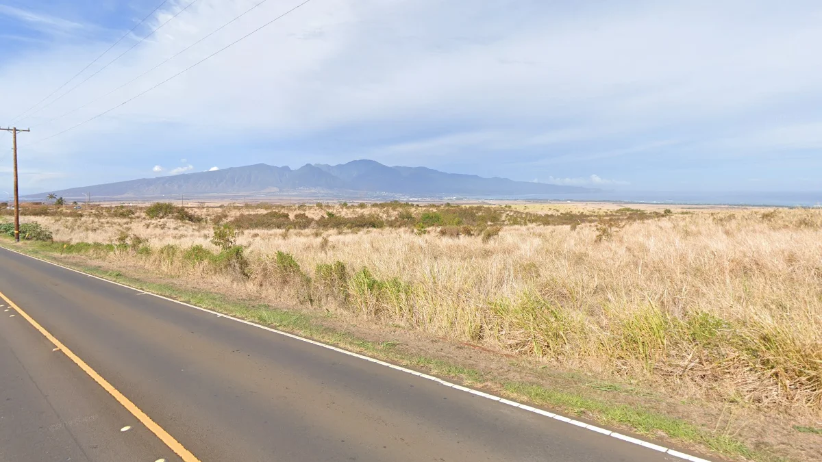 茂宜島中部乾燥草原