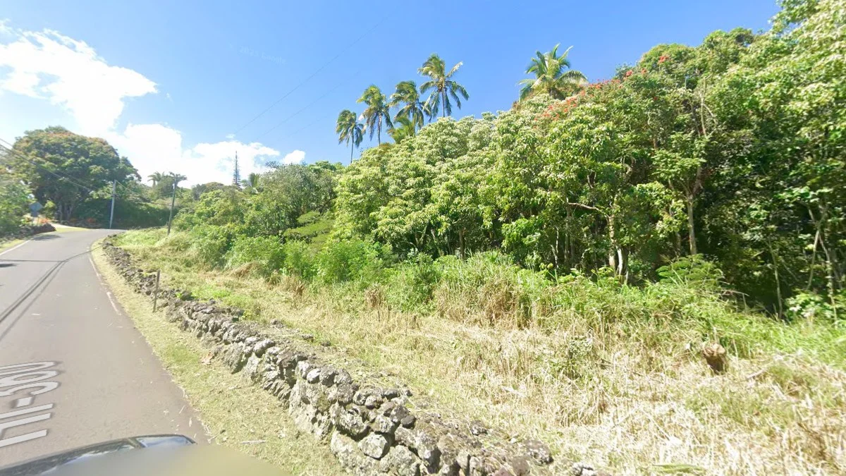 茂宜島沿海鬱鬱蔥蔥