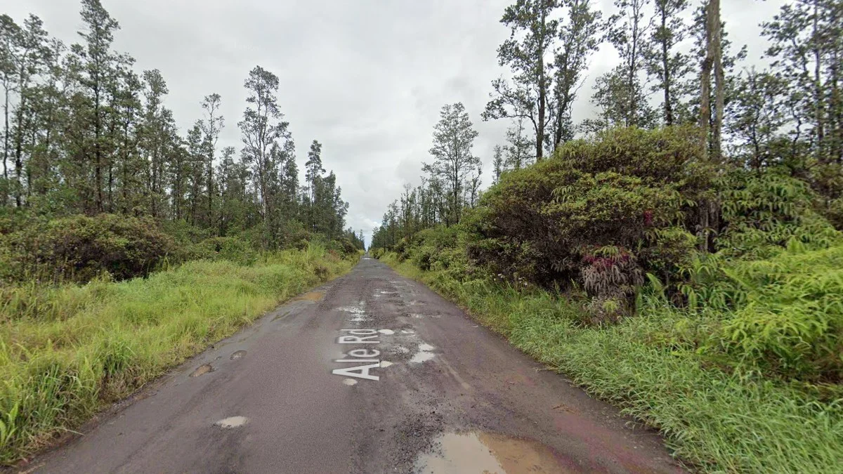 希洛市南部平坦森林道路