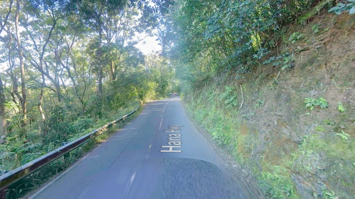 鬱鬱蔥蔥熱帶植被