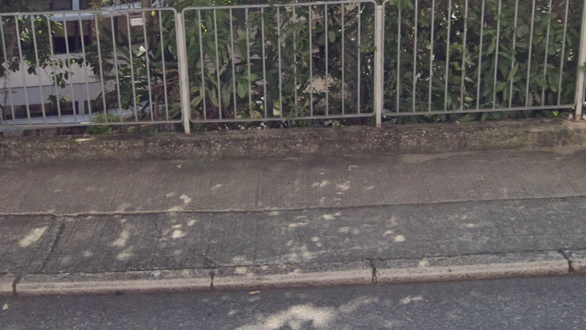 罕見條紋路緣石