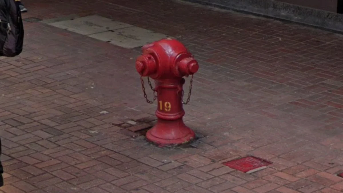 紅色圓頂消防栓