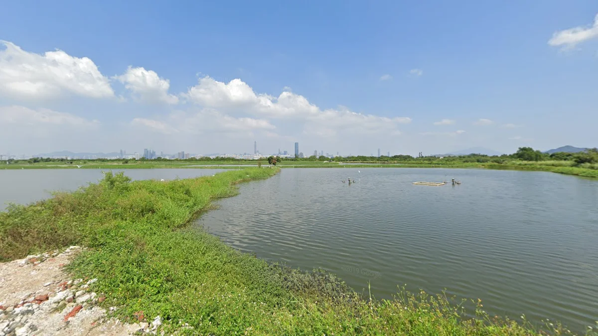 中國邊界水淹稻田