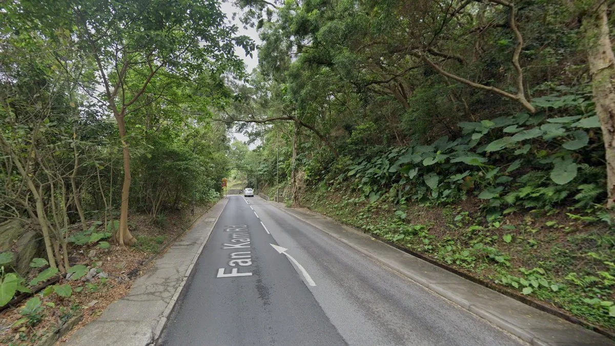 粉錦公路茂密熱帶植被