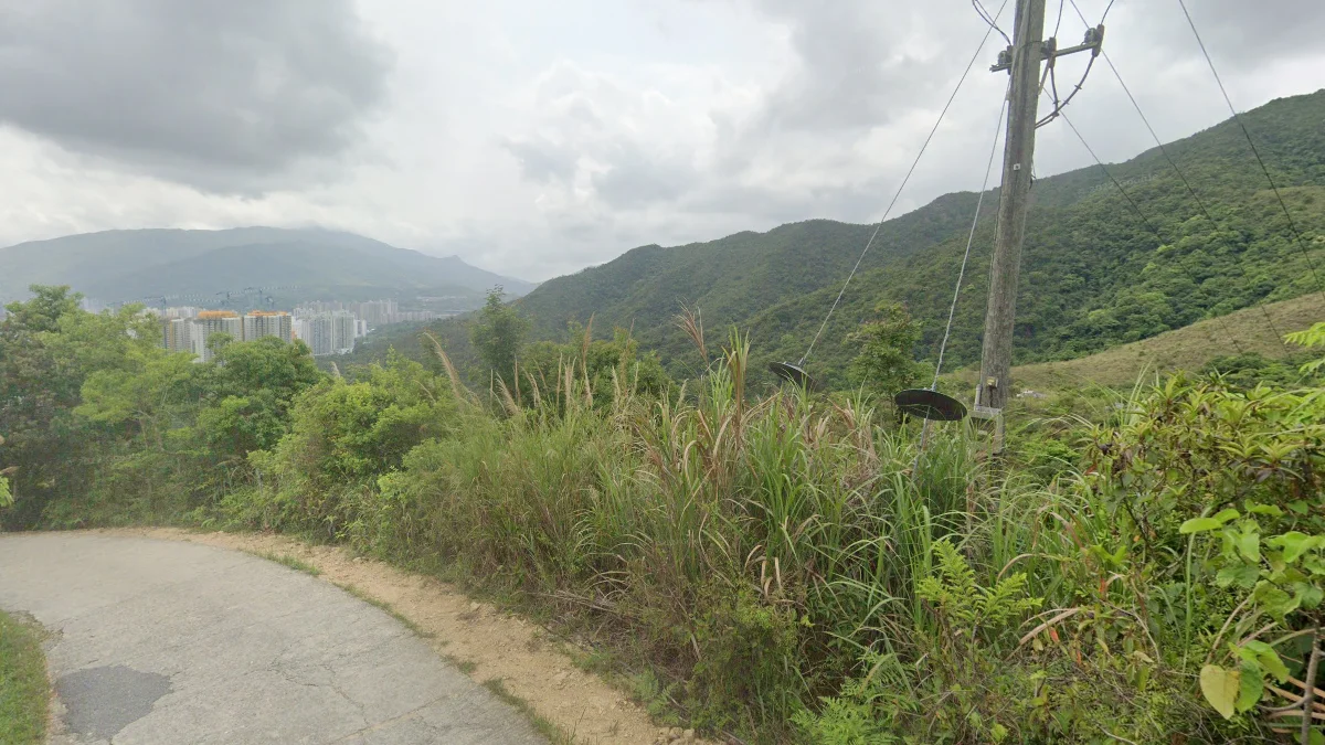 鄉村山區與亞熱帶植被