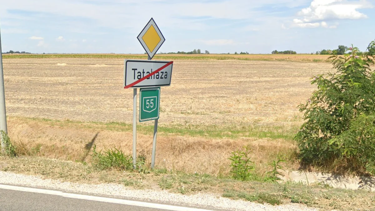 綠色與藍色編號道路標誌