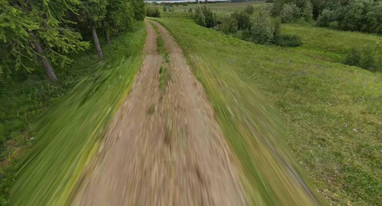 冰島綜合識別特徵