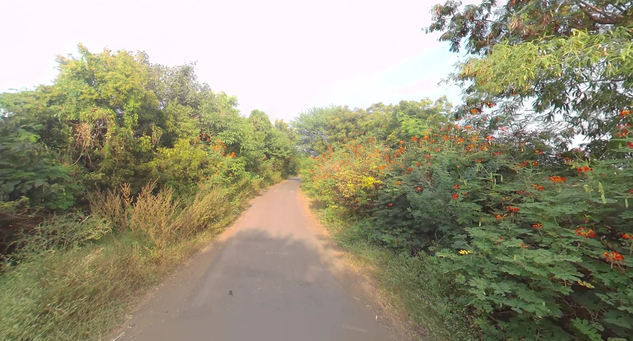 印度特有低畫質街景(Shitcam)