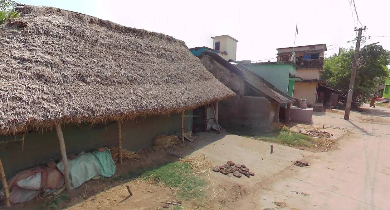 東海岸茅草屋頂