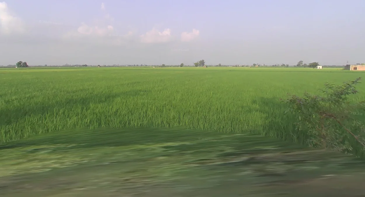 北部平原肥沃平坦