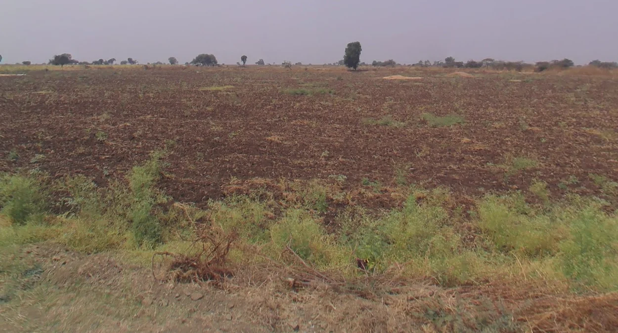 馬哈拉施特拉邦黑土