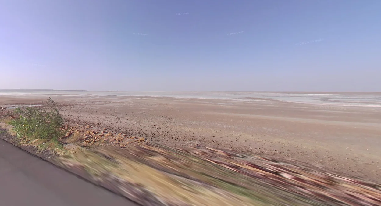 古吉拉特邦鹽灘無植被