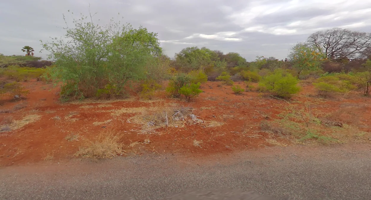 泰米爾納德邦南部紅土