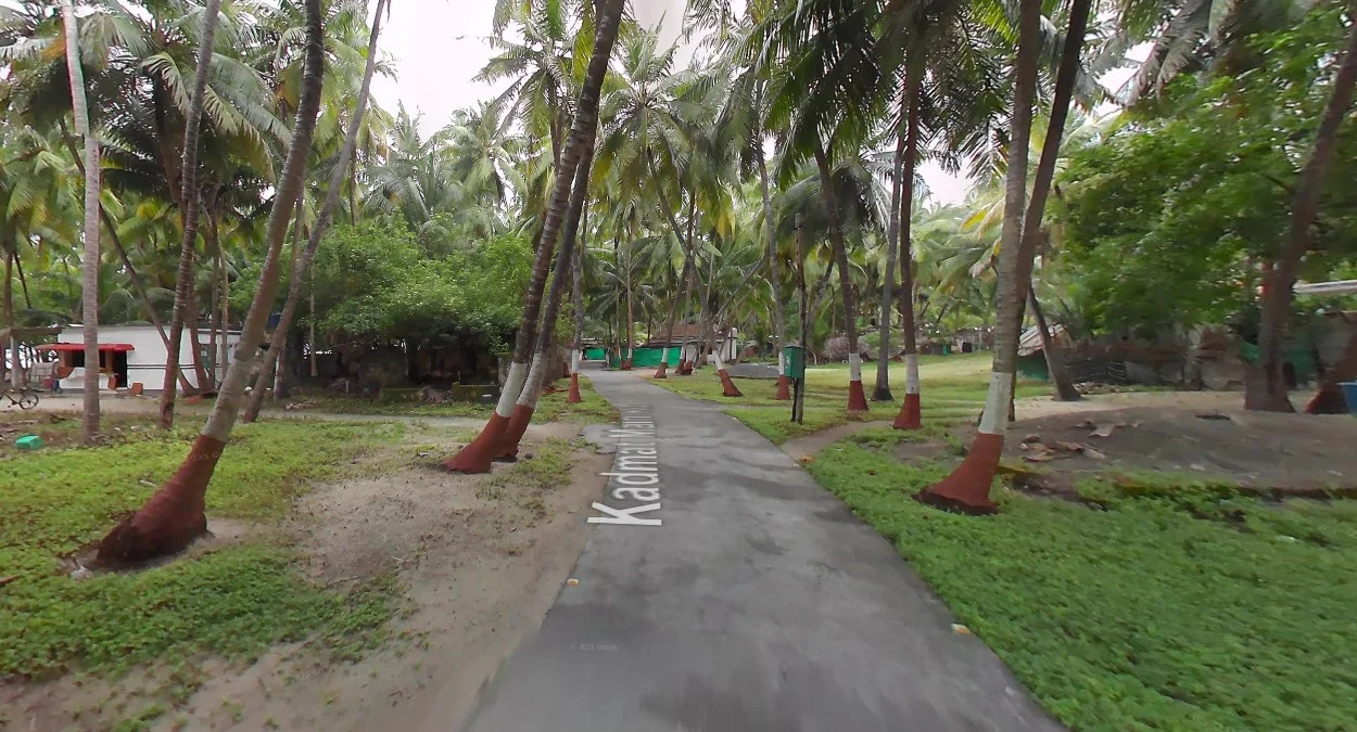 拉克沙群島椰子樹