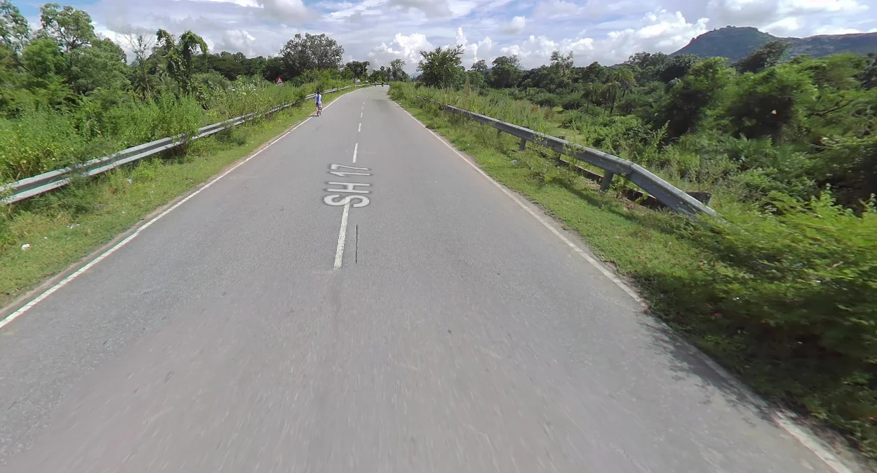 奧里薩邦灰色天線