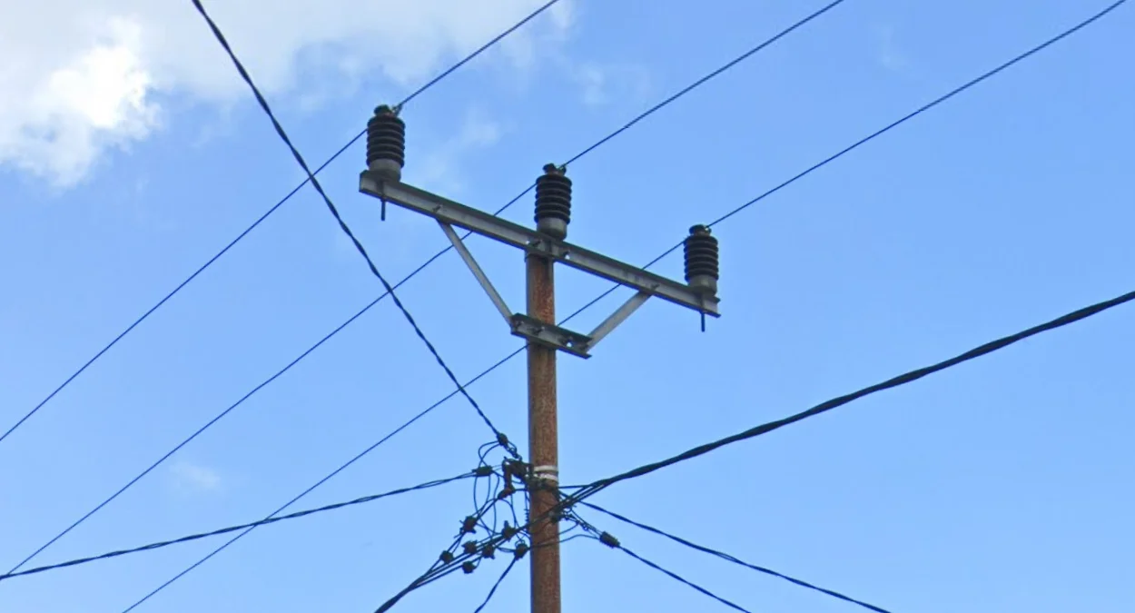 蘇拉威西桿頂額外附件