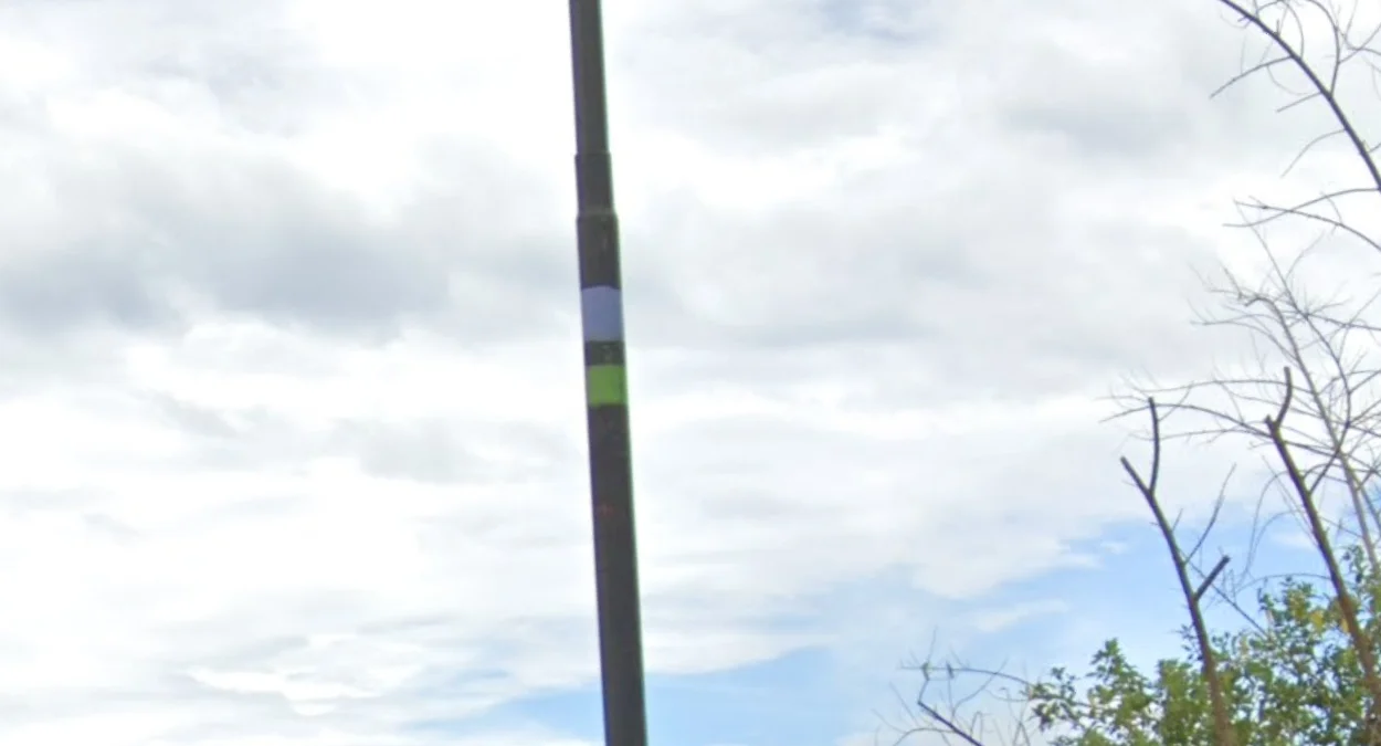 中蘇拉威西黑桿藍綠膠帶