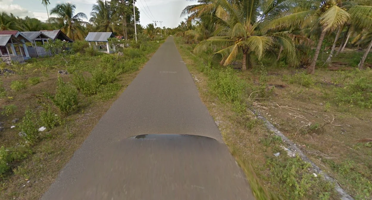 蘇拉威西黑色第三代街景