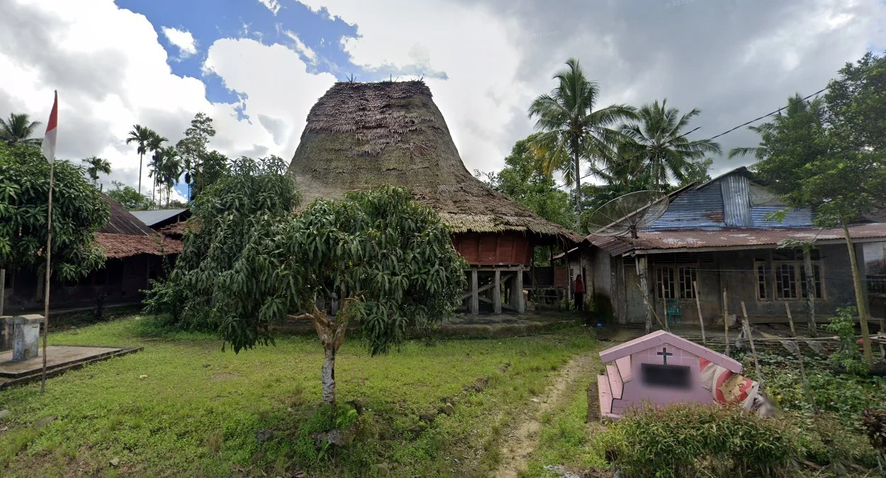 尼亞斯島棕櫚葉陡峭屋頂