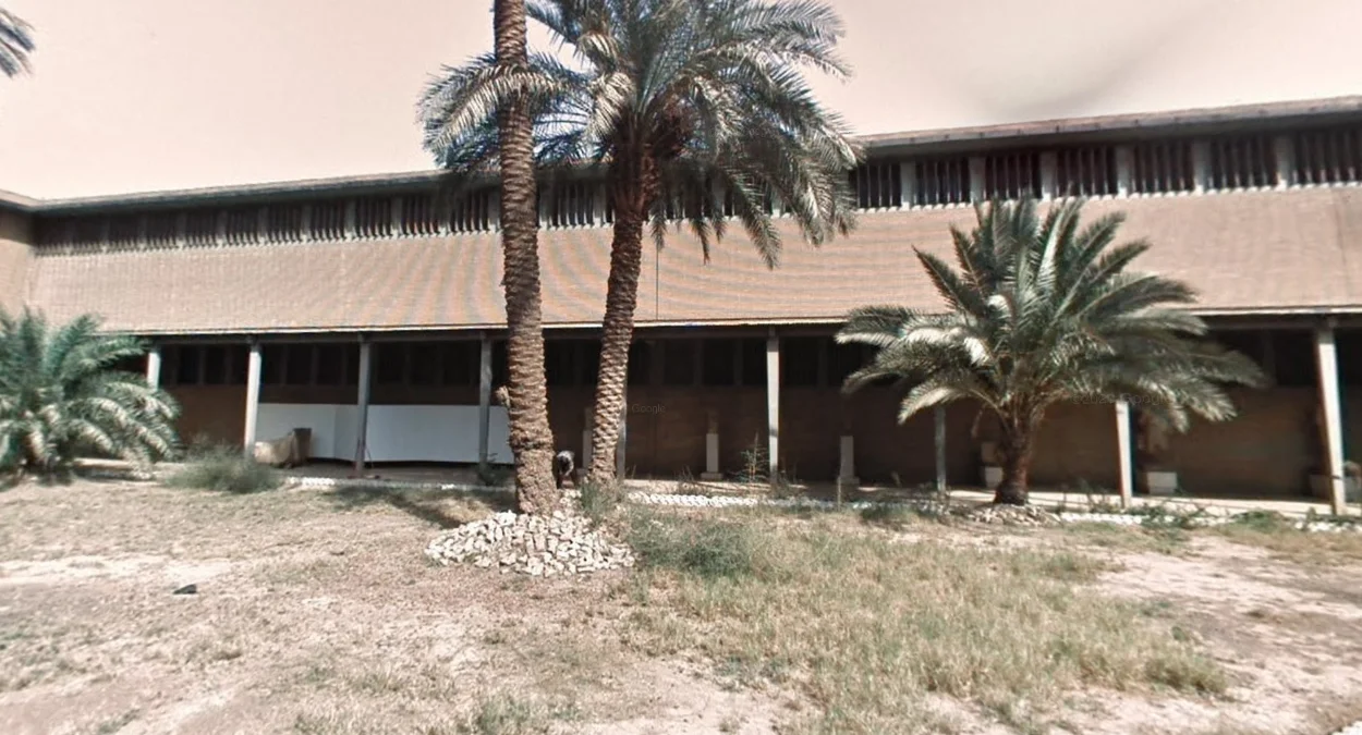 戶外庭院棗椰樹