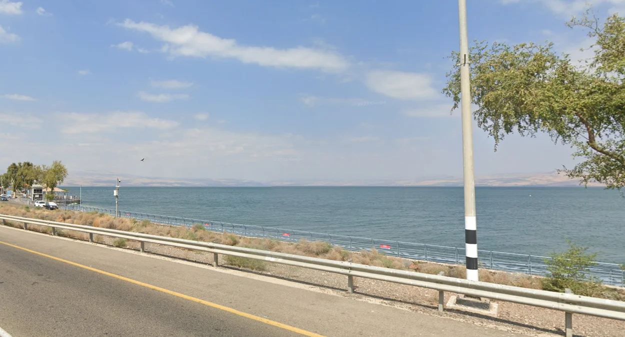 加利利海茂盛植被