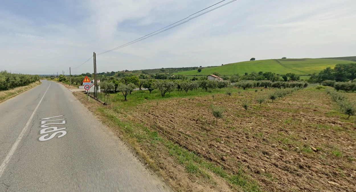 地中海丘陵農田景觀