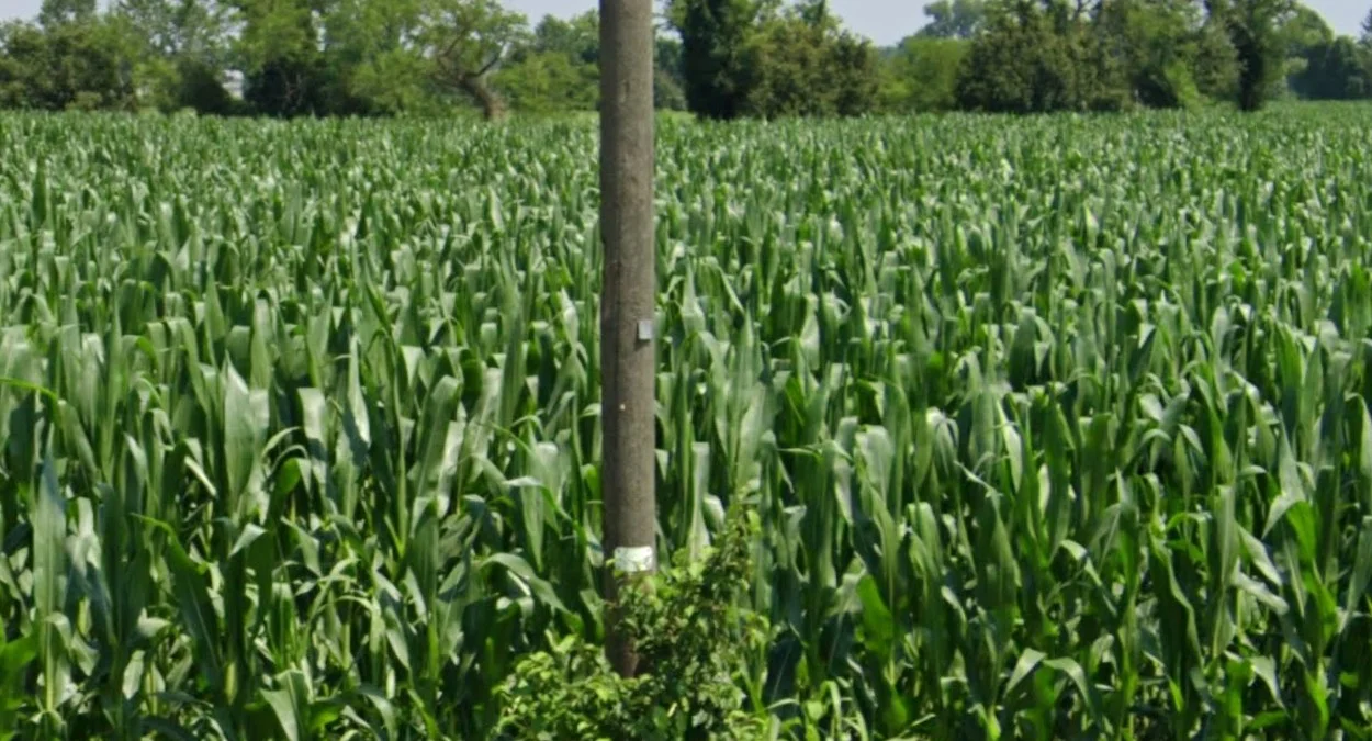 木桿上的白色小貼紙